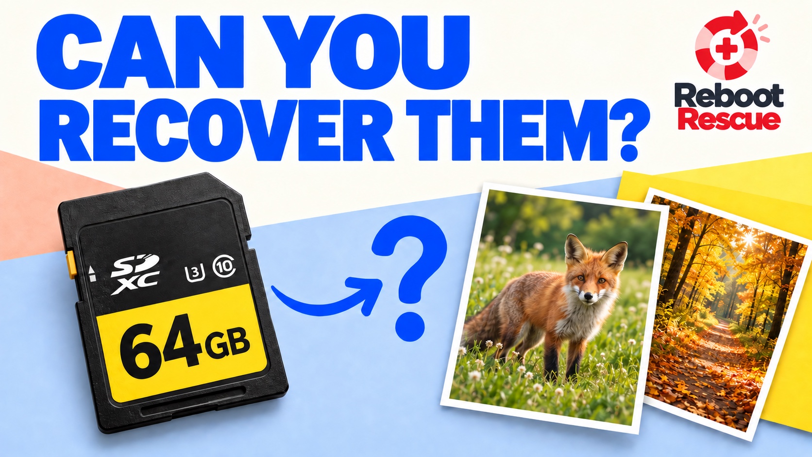 Formatted SD card: are your photos gone?